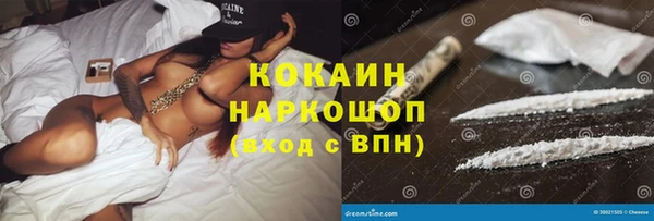 молекула духа Пересвет