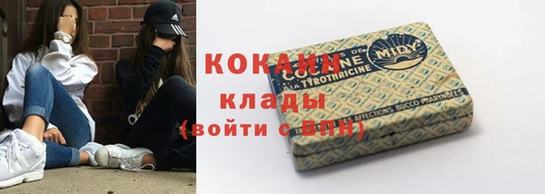 мет Пестово