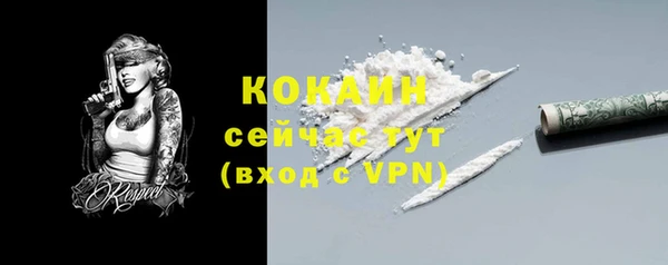 молекула духа Пересвет