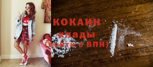 молекула духа Пересвет
