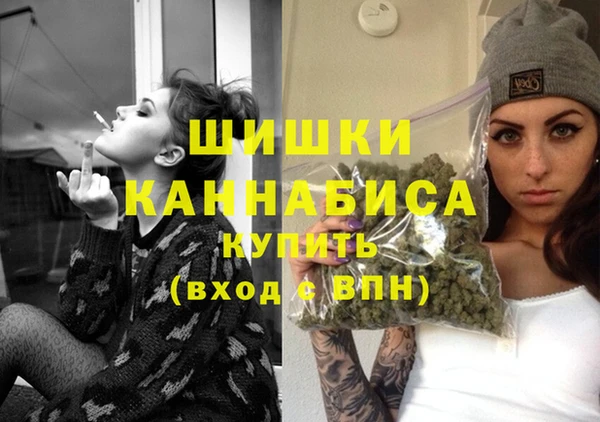 мет Пестово