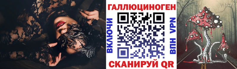 сколько стоит  Новодвинск  Псилоцибиновые грибы Cubensis 