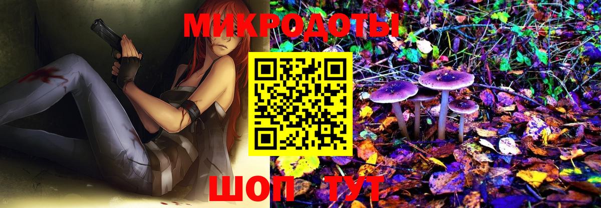 Новодвинск  Псилоцибиновые грибы GOLDEN TEACHER  купить закладку  Вход с VPN 