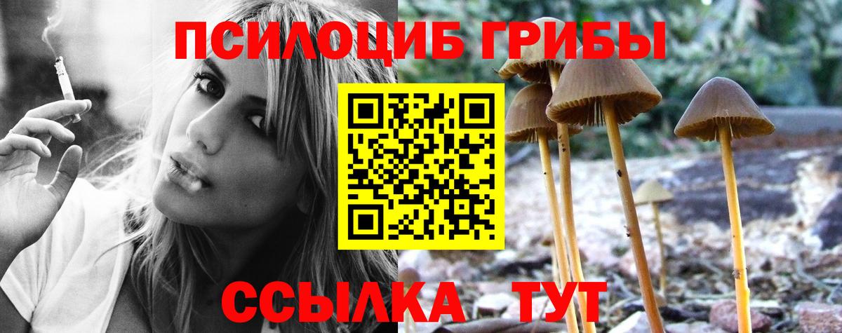 Галлюциногенные грибы MAGIC MUSHROOMS Новодвинск