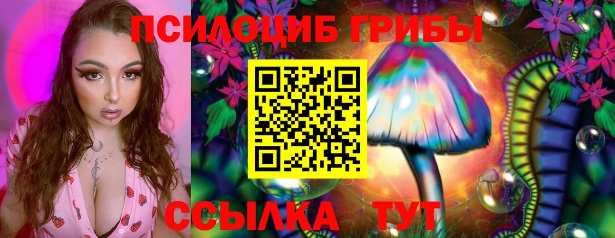 Галлюциногенные грибы GOLDEN TEACHER Новодвинск